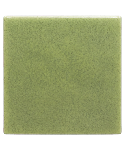 CHAMOTTE LINEAR – OLIVINE – Moss – 10×10