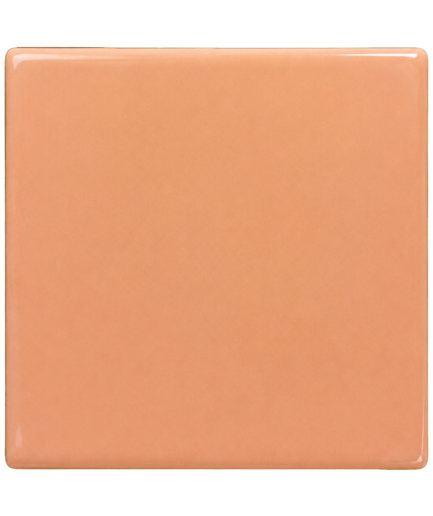 CHAMOTTE LINEAR – SIENNA – Apricot – 10×10