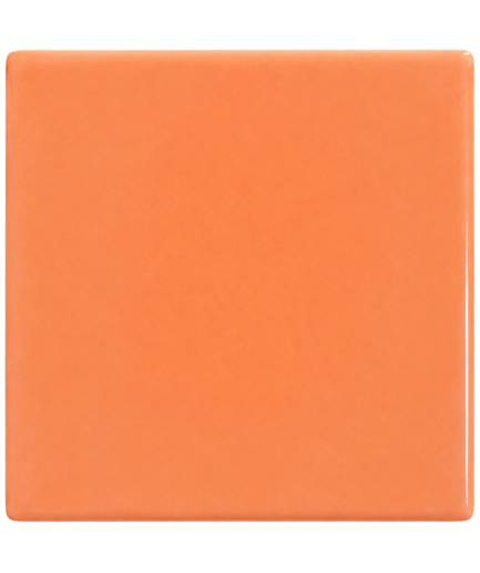 CHAMOTTE LINEAR – SIENNA – Coral – 10×10
